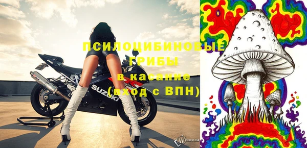 PSILOCYBIN Абдулино