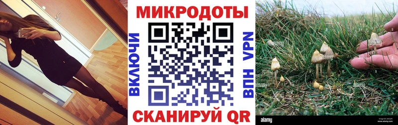 Галлюциногенные грибы Magic Shrooms Шлиссельбург